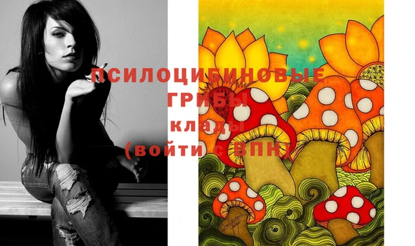 МДПВ Баксан